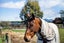 2276 State Highway 63, Blenheim - Carousel 45