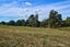 108 - 122 Papaitonga Lake Road, Ohau, Horowhenua, Manawatu / Whanganui - Carousel 24