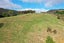 38 Ruhi Road, Dannevirke - Carousel 23