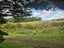 Lot 2, 675 Gorge Road, Maungaturoto, Kaipara, Northland - Carousel 3