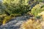 112 Green Island Bush Road, Blackhead, Dunedin - Carousel 24