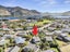 31A Kings Drive, Wanaka - Carousel 6