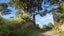 180 Noakes Hill Road, Silverdale - Carousel 45