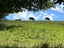276 Brooklyn Valley Road, Brooklyn, Motueka - Carousel 33