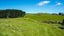 0 State Highway 25, Waitakaruru, Ngatea - Carousel 17