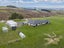 337 Coe Road, Stony Creek, Balclutha - Carousel 35