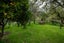 1039 Paradise Valley Road, Ngongotaha Valley - Carousel 36