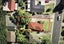 87 David Avenue, Hillpark, Auckland - Carousel 9