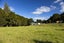 723 Whangarei Heads Road, Whangarei - Carousel 6
