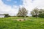 823 Napier Road, Whakarongo, Palmerston North - Carousel 24