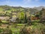 682 Kauaeranga Valley Road, Thames, Thames-Coromandel, Waikato - Carousel 6