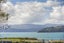 3 Fore Street, Kaiwharawhara, Wellington - Carousel 16