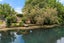 6A Walnut Lane, Islington, Blenheim - Carousel 11