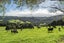 43 Waiariki Road, Whakapara, Hikurangi - Carousel 10