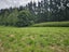 615 Pesters Road, West Eyreton, West Eyreton - Carousel 18