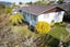 30 Redvers Drive, Belmont, Lower Hutt - Carousel 17