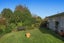 154 College Road, Edgecumbe, Edgecumbe - Carousel 2