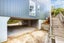 11/114 Mitchell Street, Brooklyn, Wellington - Carousel 20