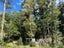 1669 Tadmor-Glenhope Road, Tapawera, Wakefield - Carousel 11