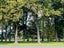 129A Domain Avenue, Temuka - Carousel 5