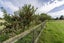 120 Cox Street, Geraldine, Geraldine - Carousel 38