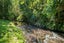 273 Middleton Road, Glenside, Wellington - Carousel 17