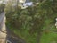 33 Liardet Street, Vogeltown, Wellington - Carousel 3