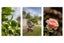 14 Kinder Place, Ngongotaha, Rotorua - Carousel 24