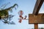 10 Edgeware Road, Wilton, Wellington - Carousel 18