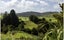 1238 Fern Flat Road, PERIA, KAEO - Carousel 3