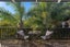 4 Sunnyview Road, Greenhithe, Auckland - Carousel 2