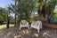 21 Peterhouse Place, West Harbour, Auckland - Carousel 25