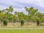 587 Gladstone Road, Gladstone - Carousel 16
