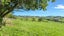 120 Mahuta Road South, Mangatarata, Ngatea - Carousel 18