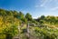 44 Mamaku Road, Tasman, Upper Moutere - Carousel 21