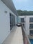 51 Dive Crescent, Tauranga, Tauranga - Carousel 4