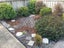 209B Mclintock Street North, Johnsonville, Wellington - Carousel 16