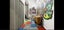 G06/5 Hohipere Street, Grafton, Auckland City, Auckland - Carousel 21