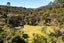 352 Wright Road, Albany - Carousel 34