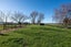 29 Halcrow Road, Reporoa - Carousel 20