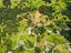 58 Old Valley Road, Ōkaihau - Carousel 36