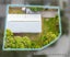 3/286 Porchester Road, Takanini, Auckland - Carousel 11