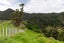 142A Thames Coast Road, Whakatete Bay, Thames - Carousel 18
