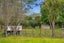 88 Te Rongo Road, Parua Bay - Carousel 9
