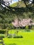9 Helland Drive, Drury - Carousel 5