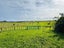 42 Big Flat Road, Waiharara, Kaitaia - Carousel 27
