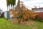 803 Cook Place, Raureka, Hastings - Carousel 22