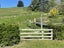750 Clareinch Road, Waipawa - Carousel 4
