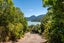 710 Queen Charlotte Drive, Havelock - Carousel 4