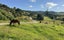 1238 Fern Flat Road, PERIA, KAEO - Carousel 4